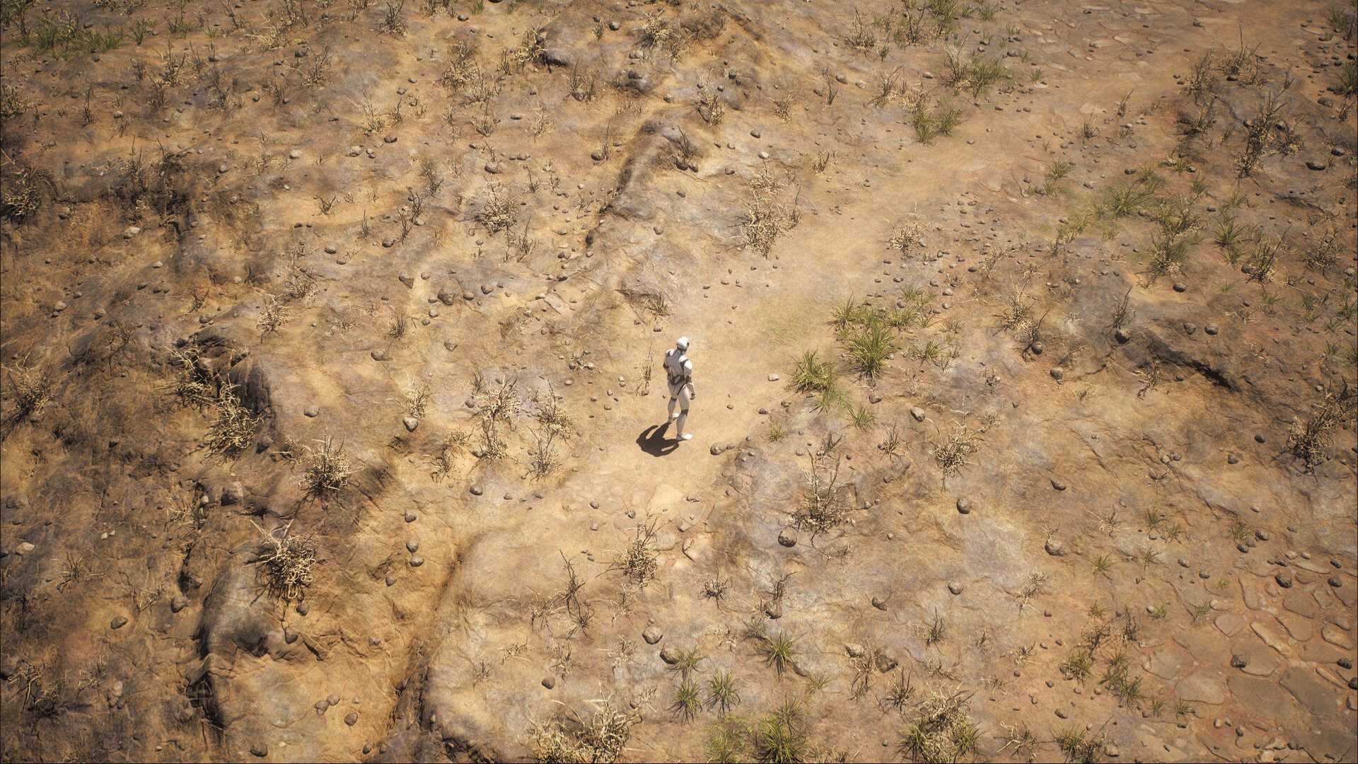 Procedural ARPG Style Environment: All of the rocks, grasses, and path decals were placed using PCG.
