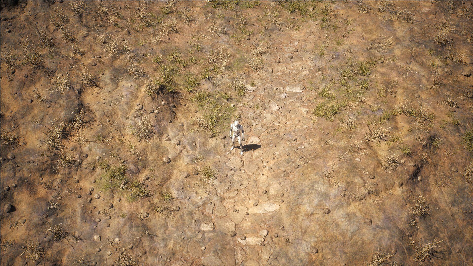 Procedural ARPG Style Environment, image 5